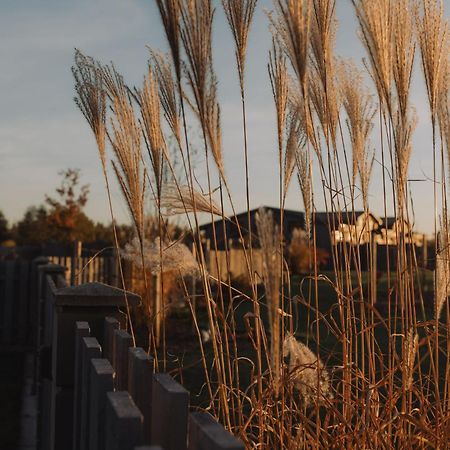 Seaside Apartments 로야 외부 사진
