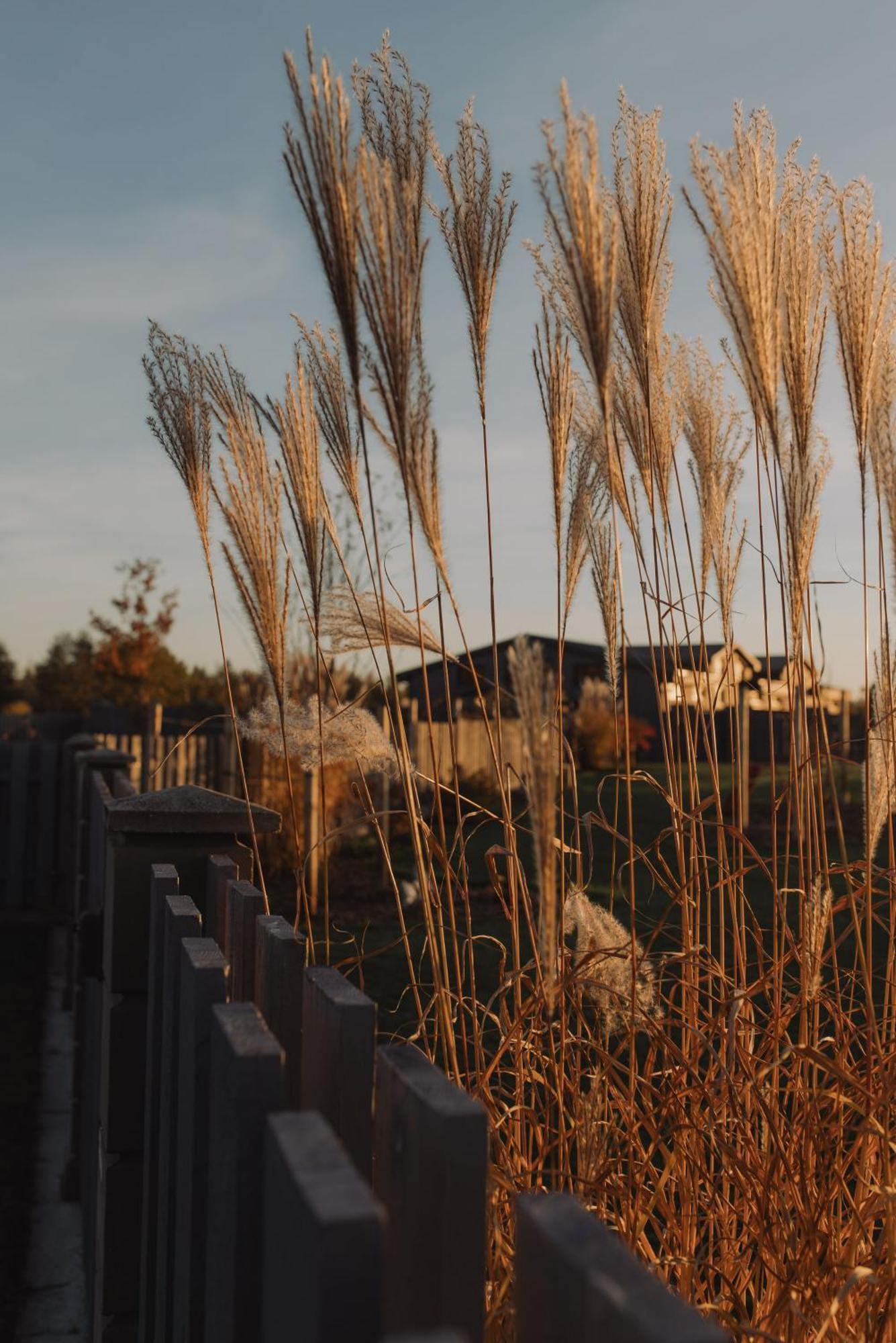 Seaside Apartments 로야 외부 사진